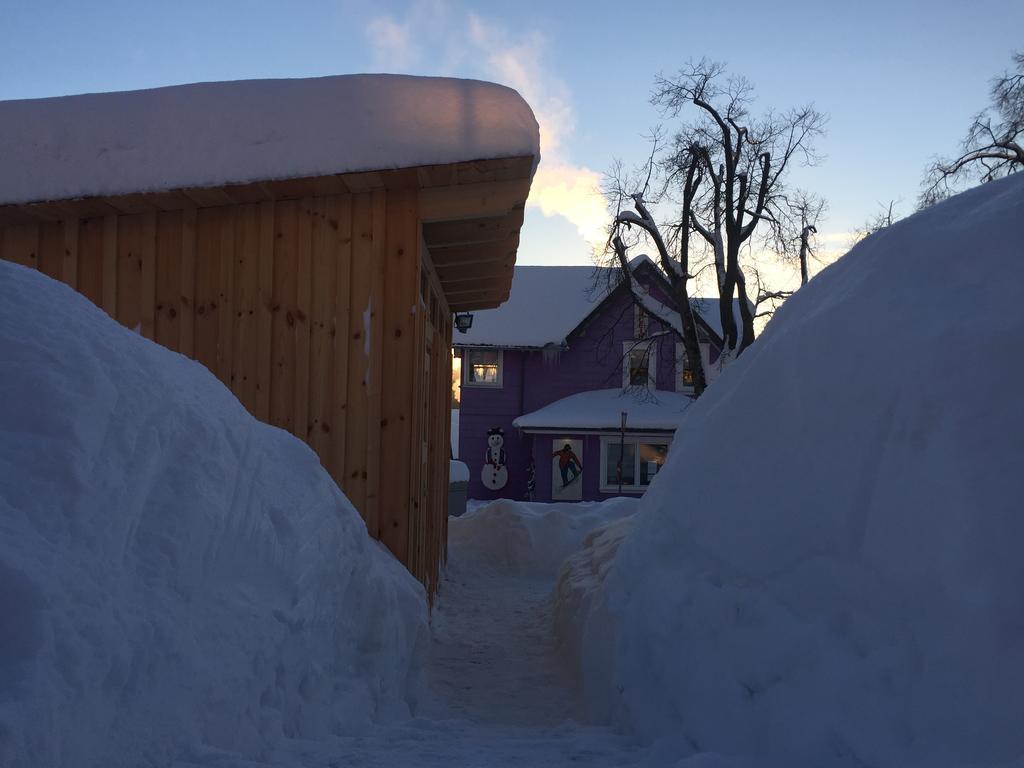 Blockhaus An Der Skiwiese Braunlage Exteriör bild