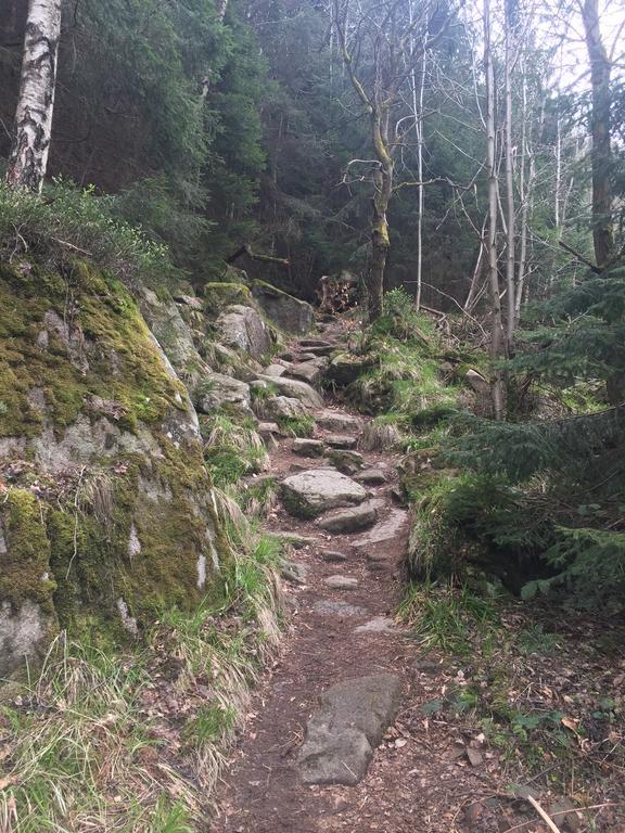 Blockhaus An Der Skiwiese Braunlage Exteriör bild